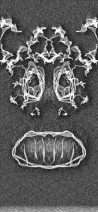 Masks illustration 1